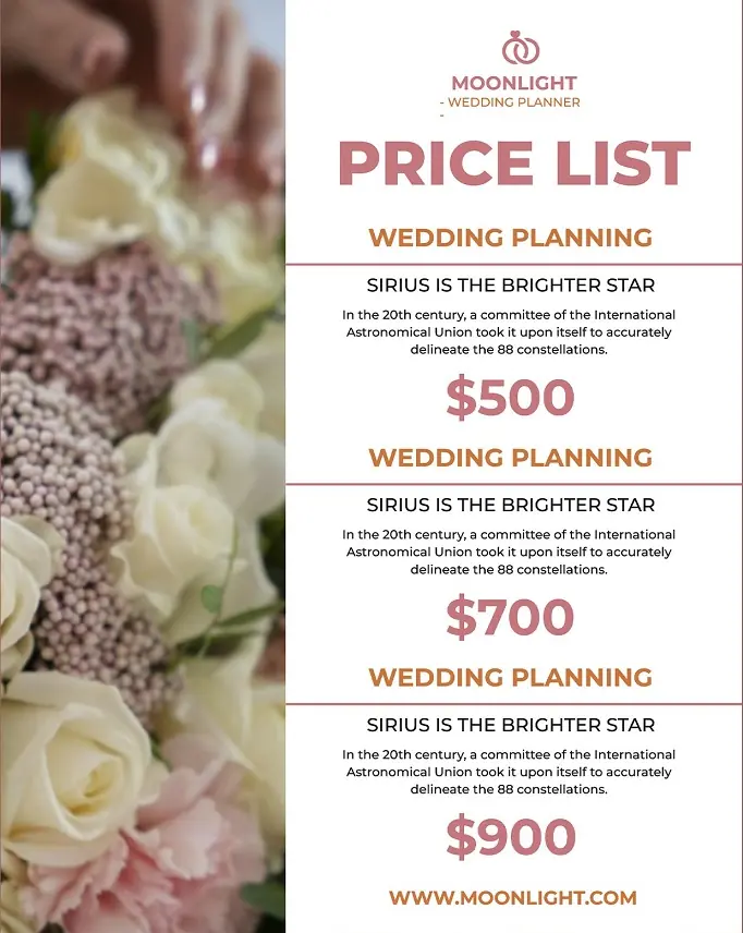 Wedding Planner Flyers 281