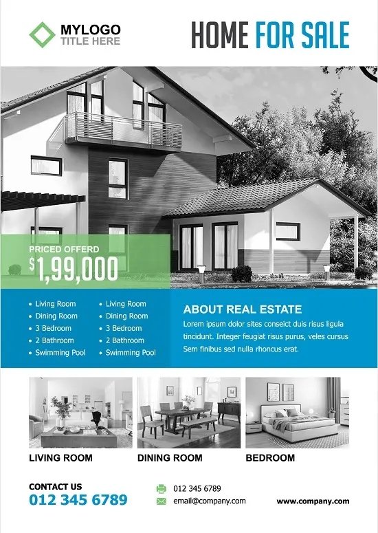 Real Estate Flyer 241